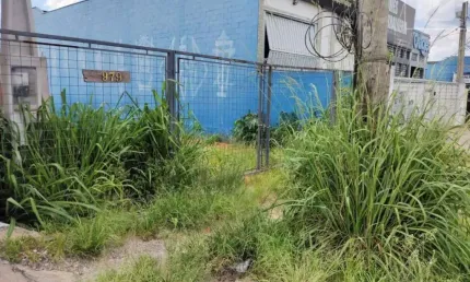 Terreno para aluguel com 300 m², em Jardim das Bandeiras, Campinas