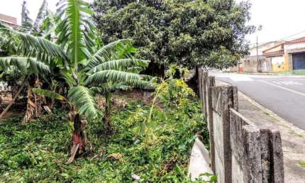 Terreno para aluguel com 171 m², em Vila Industrial, Campinas