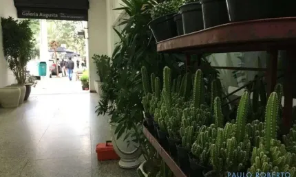 Ponto comercial para alugar no Jardim América, São Paulo 