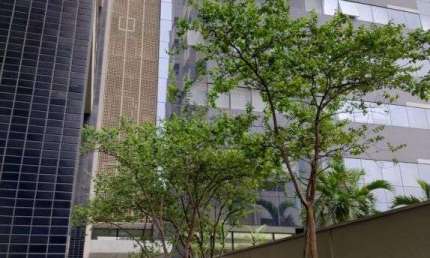 Sala comercial para alugar na Aclimação, São Paulo 