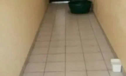 Casa com 3 quartos para alugar na Granja Julieta, São Paulo 
