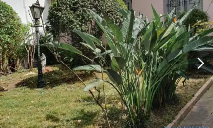 Casa com 3 quartos para alugar no Campo Belo, São Paulo 