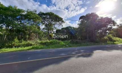 EXCELENTE TERRENO COM 375,00 M², FRENTE AVENIDA ASFALTADA!