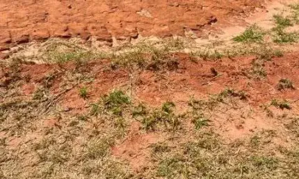 Terreno à venda, 350 m² - Floratta Condomínio Residencial - Bauru/SP