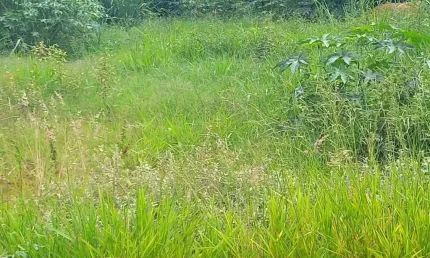 Terreno à venda, 750 m² - Estância Balneária Águas Virtuosas - Bauru/SP