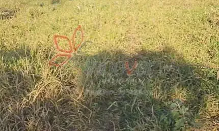 Terreno à venda no Jardim Ibituruna, Piratininga 