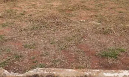 Terreno à venda, 200 m² por R$ 125.000,00 - Conjunto Habitacional Isaura Pitta Garms - Bauru/SP