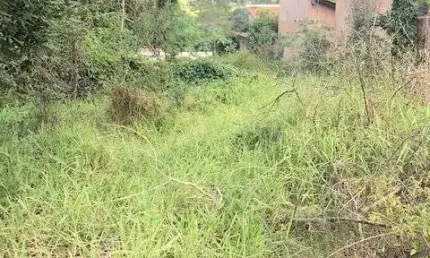 Terreno à venda no Estância Balneária Águas Virtuosas, Bauru 