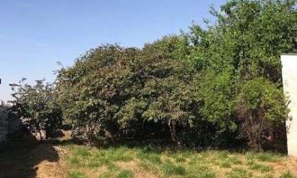 Terreno à venda no Jardim Eugênia, Bauru 