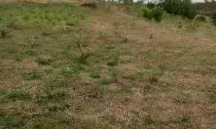 Área à venda, 27000 m² por R$ 3.000.000,00 - Quarta Divisão - Ribeirão Pires/SP