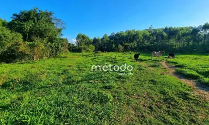 Sítio à venda, 20000 m² por R$ 395.000,00 - Itapeti - Guararema/SP