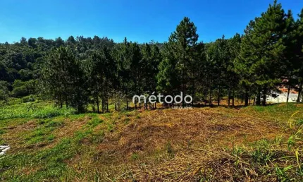 Terreno à venda, 10068 m² por r$ 295.000,00 - ponte alta - guararema/sp