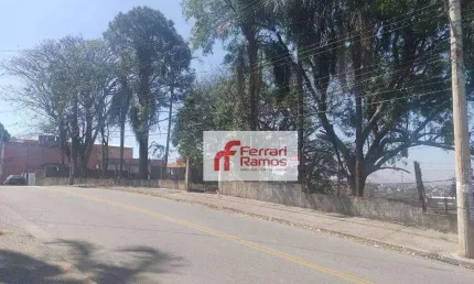 Terreno à venda, 432 m² por R$ 450.000,00 - Pimentas - Guarulhos/SP