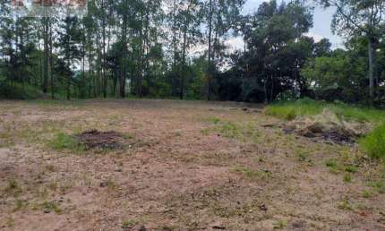 Área à venda, 3995 m² por R$ 400.000,01 - Granja Urupês - Santa Isabel/SP