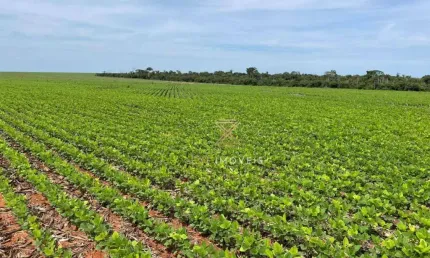Fazenda à venda, 35800000 m² por r$ 310.000.000,00 - alto teles pires - ipiranga do norte/mt