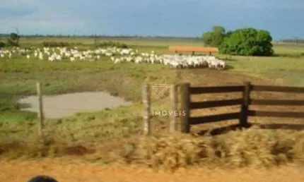 Fazenda à venda no Setor Oeste, São Miguel do Araguaia , 2345000000 m2