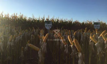 Fazenda à venda, 440000000 m² por R$ 4.000.000 - Zona Rural - Santana do Araguaia/PA, por 4.000.000.000 00 ( quatro bilhões de reais)
