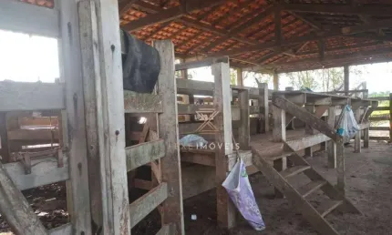 Fazenda à venda, 24500000 m² por R$ 24.500.000 - Centro - Santa Luzia Do Pará/PA