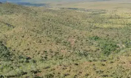 Fazenda à venda, 4017200000 m² por R$ 3.800.000.000,00 (três bilhões e oitocentos milhões de reais)- Rural - Lizarda/TO
