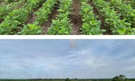 Fazenda à venda, 171250000 m² por R$ 650.000.000 - Zona Rural - Paraíso do Tocantins/TO