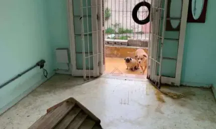Casa com 3 dormitórios à venda por r$ 2.300.000 - planalto paulista - são paulo/sp
