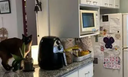 Apartamento com 1 dormitório à venda, 44 m² por r$ 600.000,00 - vila nova conceição - são paulo/sp