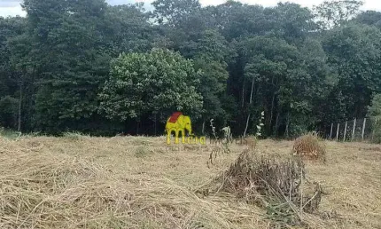 Terreno à venda, 1000 m² por R$ 235.000 - Campo Largo - Jarinu/São Paulo