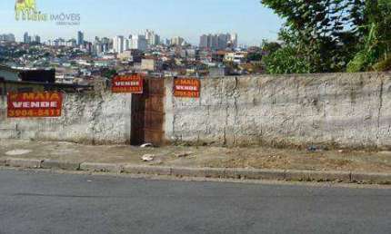Terreno residencial à venda, Vila Palmeiras, São Paulo.