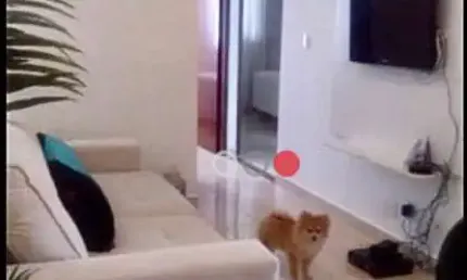 Apartamento com 3 quartos à venda na Avenida Adhemar de Barros, Jardim América, Sorocaba