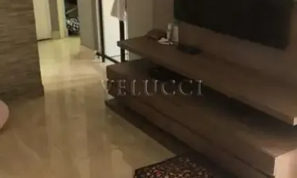 Apartamento à venda com 2 quartos em campinas no jardim ipaussurama.