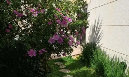Apartamento à venda em são paulo-sp, parada inglesa: 3 quartos, 1 suíte,  2 vagas de garagem, 78m²