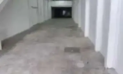 Galpão comercial para locação no brás - 255m², 1 sala, 3 banheiros e energia trifásica