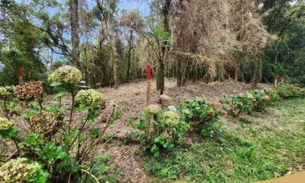 Terreno residencial para Venda Alpes de São Gotardo, Santo Antônio do Pinhal 1.242,00 m² total, 1.242,00 m² terreno
