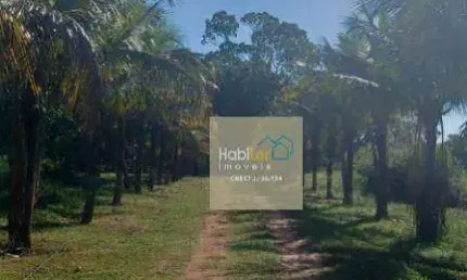 Sítio com 2 dormitórios à venda, 72600 m² por r$ 1.500.000,00 - zona rural - mendonça/sp