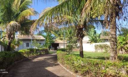 Chácara à venda, 1000 m² por R$ 350.000,00 - Residencial Vista Alegre II e III (Zona Rural) - São José do Rio Preto/SP