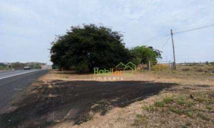 Área à venda, 142810 m² por R$ 12.000.000,00 - Rodovia - Cedral/SP
