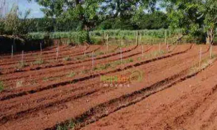 Sítio com 3 dormitórios à venda, 24200 m² por R$ 850.000,00 - Zona Rural - Nova Aliança/SP