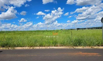 Terreno à venda, 242 m² por R$ 339.000,00 - Complexo Eplenum. - São José do Rio Preto/SP
