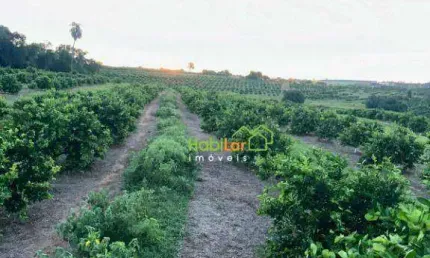 Sítio à venda, 338800 m² por R$ 6.000.000,00 - Zona Rural - Urupês/SP