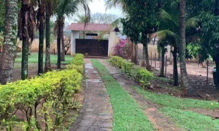 Chácara à venda, 7000 m² por R$ 780.000,00 - Engenheiro Schmidt - São José do Rio Preto/SP