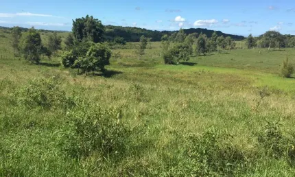 Fazenda para Venda em Araruama, Centro (Morro Grande)