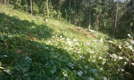Terreno em condomínio fechado à venda na Alameda das Sempre Vivas, Pirucaia, Mairiporã