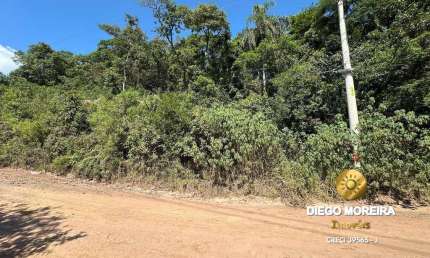 Terreno à Venda em Terra Preta - Oportunidade Única!