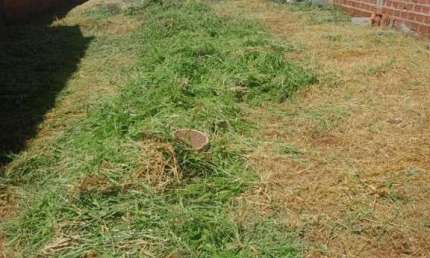 Terreno para Venda em Ribeirão Preto, Parque das Oliveiras