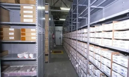 Excelente  Galpão comercial na melhor localização Central de São Paulo!