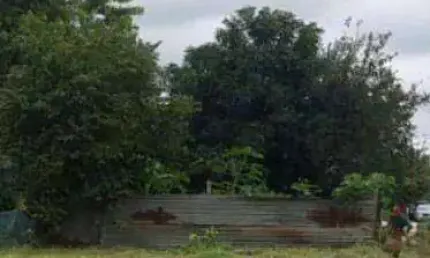 Terreno comercial à venda na Rua Campinas, Quintino Facci I, Ribeirão Preto