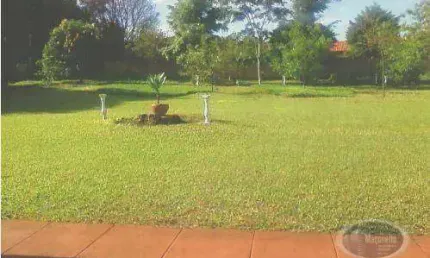 Chácara com 1 dormitório à venda, 2134 m² por R$ 600.000,00 - Brodowski - Brodowski/SP