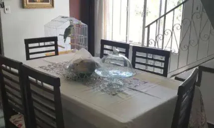 Sobrado com 3 dormitórios à venda, 220 m² por r$ 1.300.000,00 - ipiranga - são paulo/sp