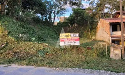 Terreno à venda na Rua Dante Nazato, --, Vila Nova, Joinville por R$ 350.000