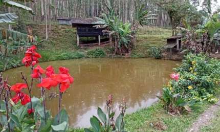 Chácara / sítio com 5 quartos à venda na Rua Emílio Hardt, --, Rio Bonito (Pirabeiraba), Joinville, 400 m2 por R$ 7.000.000